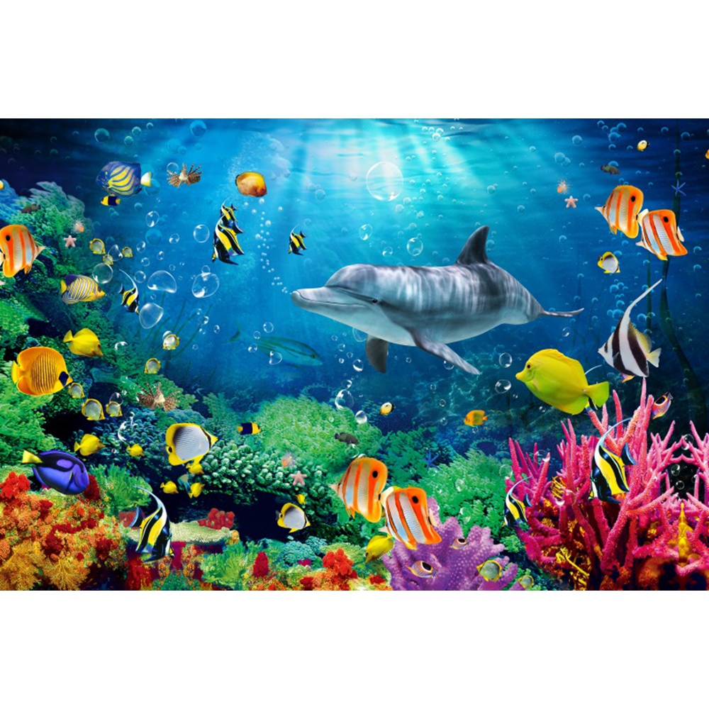 Underwater World Backdrop Unde – Aquarium Marine World recenzja i cena