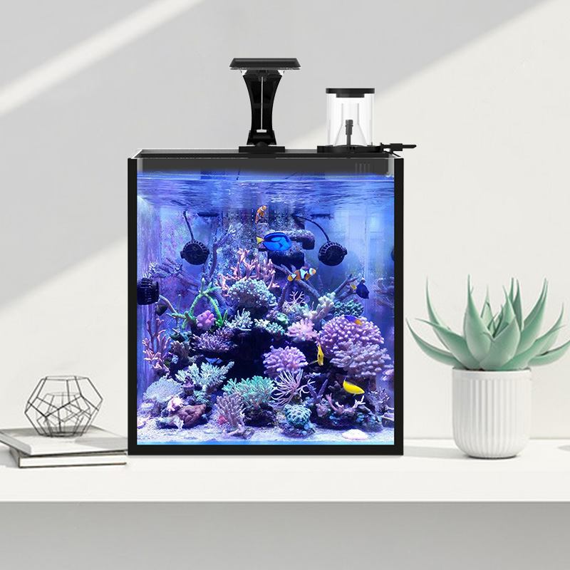 Ultra Clear Glass Mini Salt Wa – Aquarium Marine Salt recenzja i cena