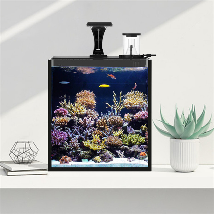 Ultra Clear Glass Mini Salt Wa – Aquarium Marine Salt recenzja i cena