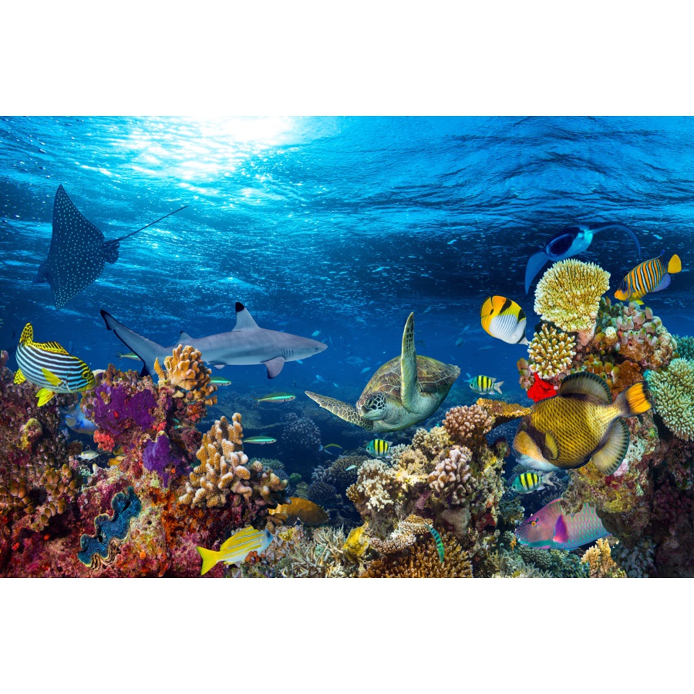 Underwater World Backdrop Unde – Aquarium Marine World recenzja i cena