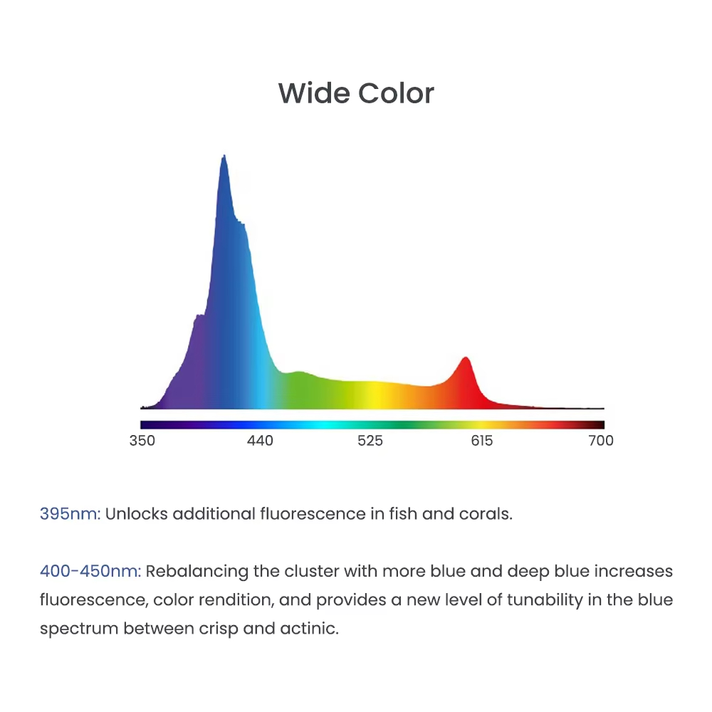 A8SE/A8PRO 2.0 Generation 240W – Marine Aquarium App recenzja i cena
