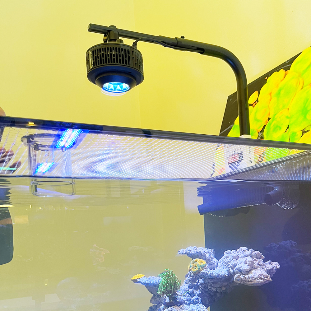 100W WiFi APP Control 6 Channe – Marine Aquarium App recenzja i cena