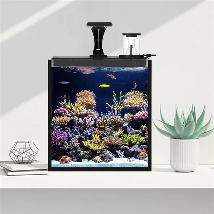 Latest Model Clear Glass Mini  – Aquarium Marine Salt recenzja i cena