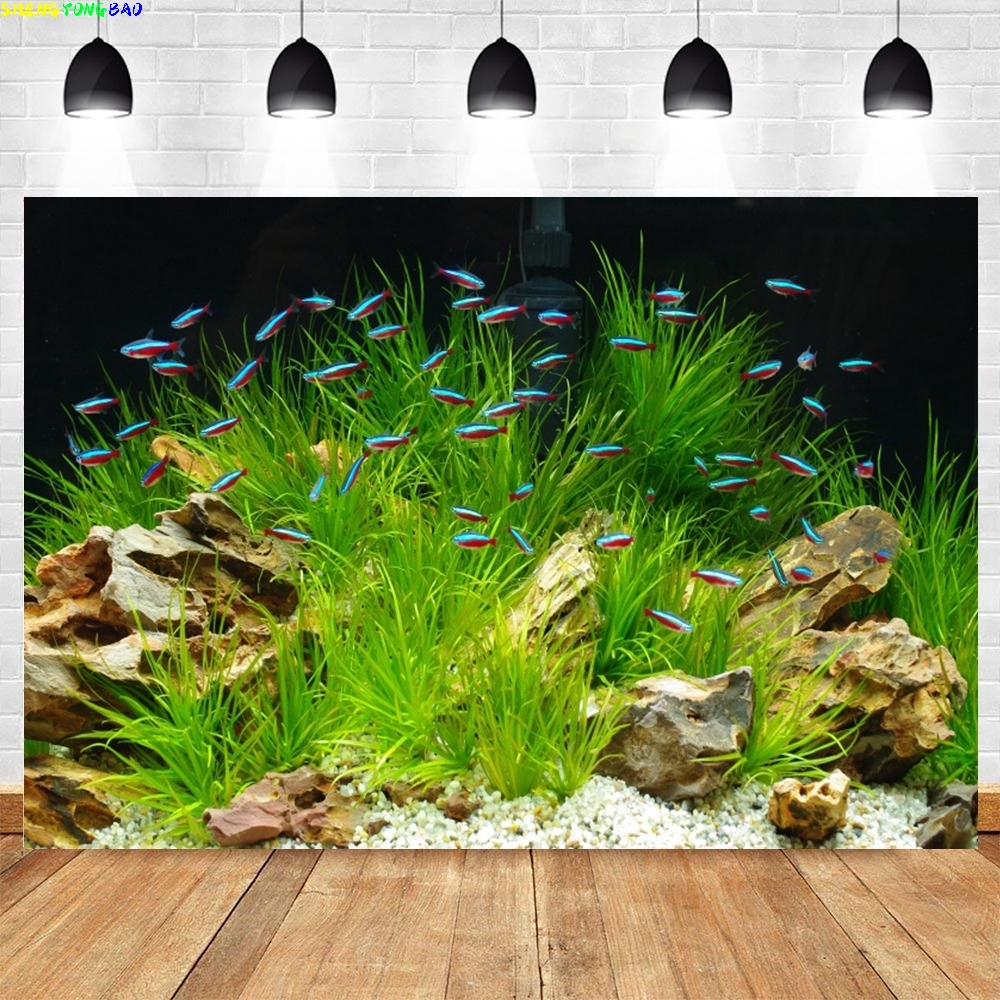 Under Sea Seabed World Photogr – Aquarium Marine World recenzja i cena