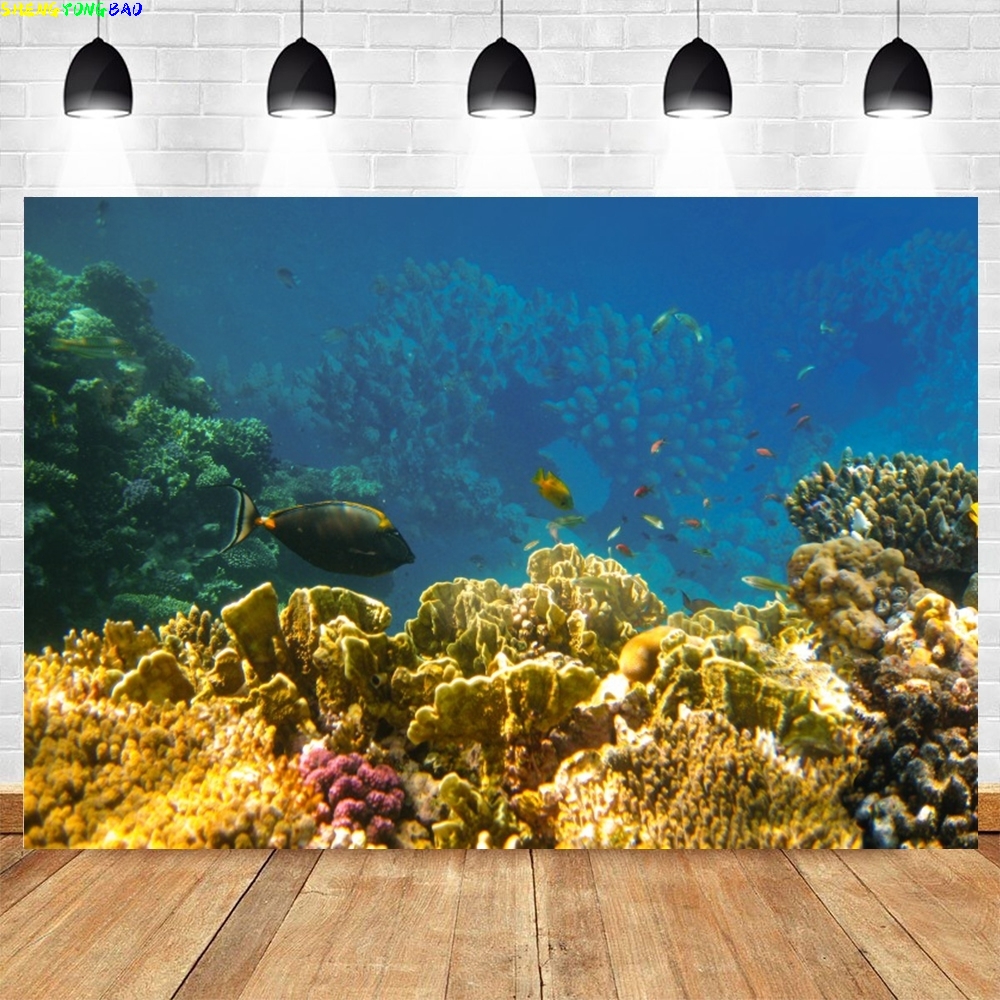 Under Sea Seabed World Photogr – Aquarium Marine World recenzja i cena
