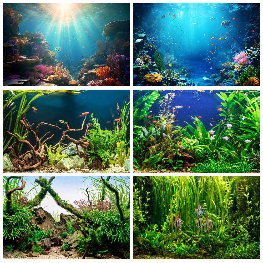 Under Sea Seabed World Photogr – Aquarium Marine World recenzja i cena