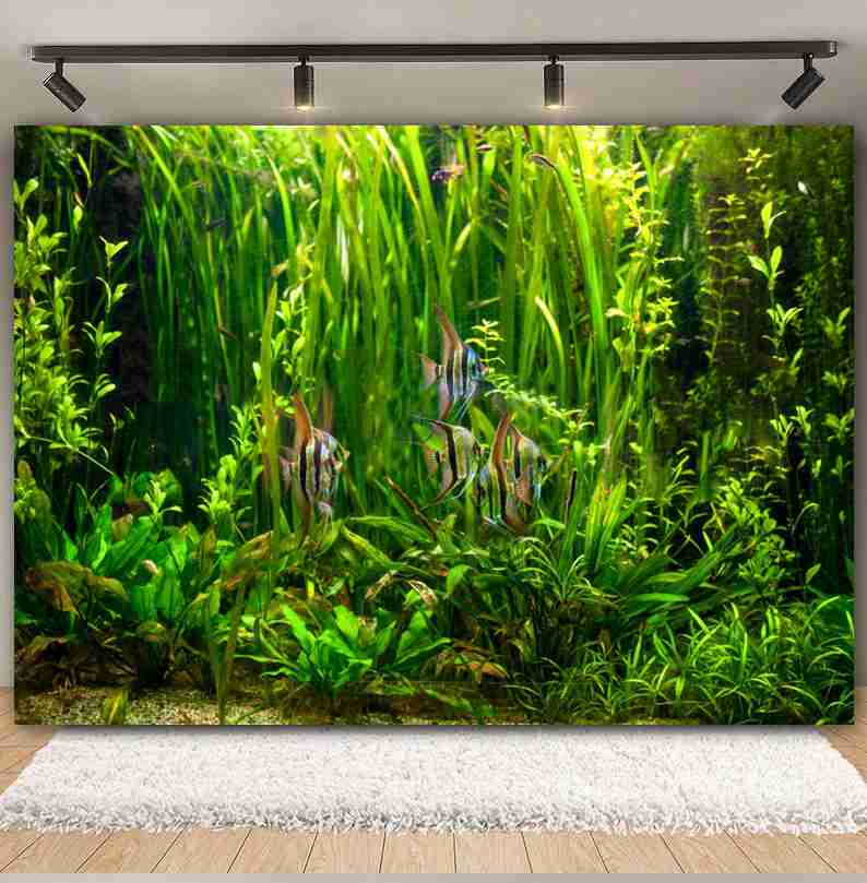 Under Sea Seabed World Photogr – Aquarium Marine World recenzja i cena