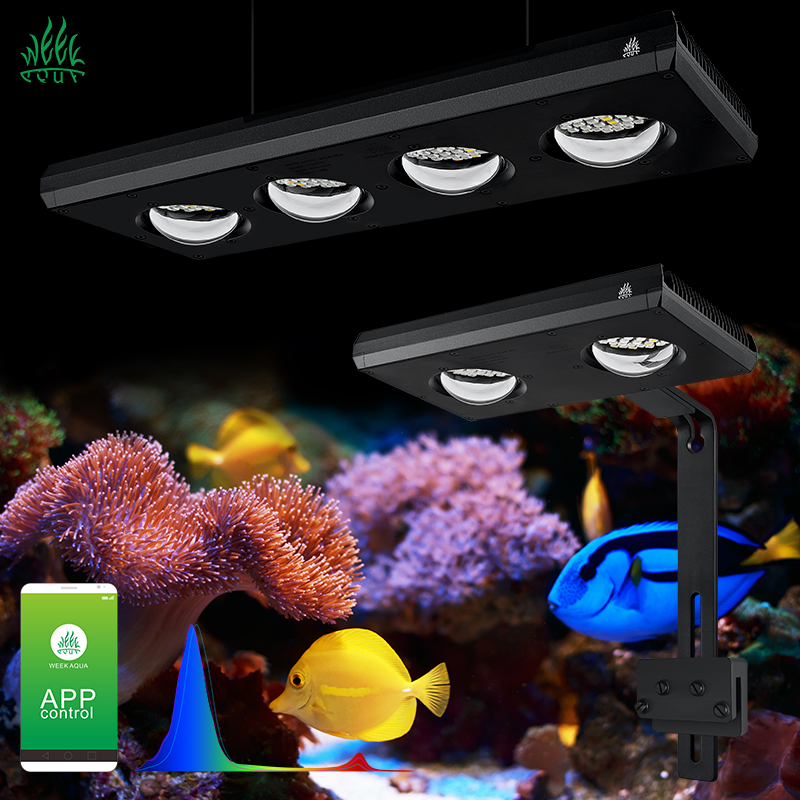 ZXY Hot Sale WEEKAQUA Z250 Z40 – Marine Aquarium App recenzja i cena