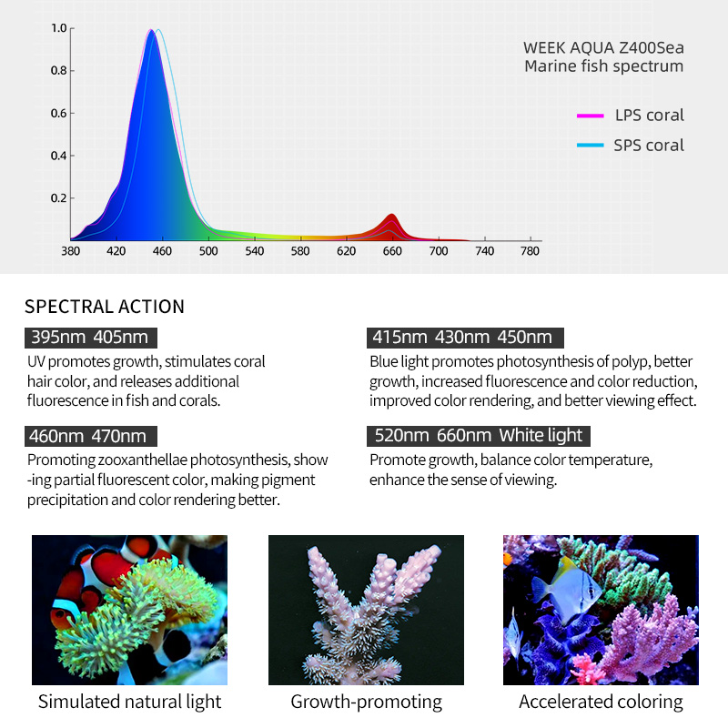 ZXY Hot Sale WEEKAQUA Z250 Z40 – Marine Aquarium App recenzja i cena