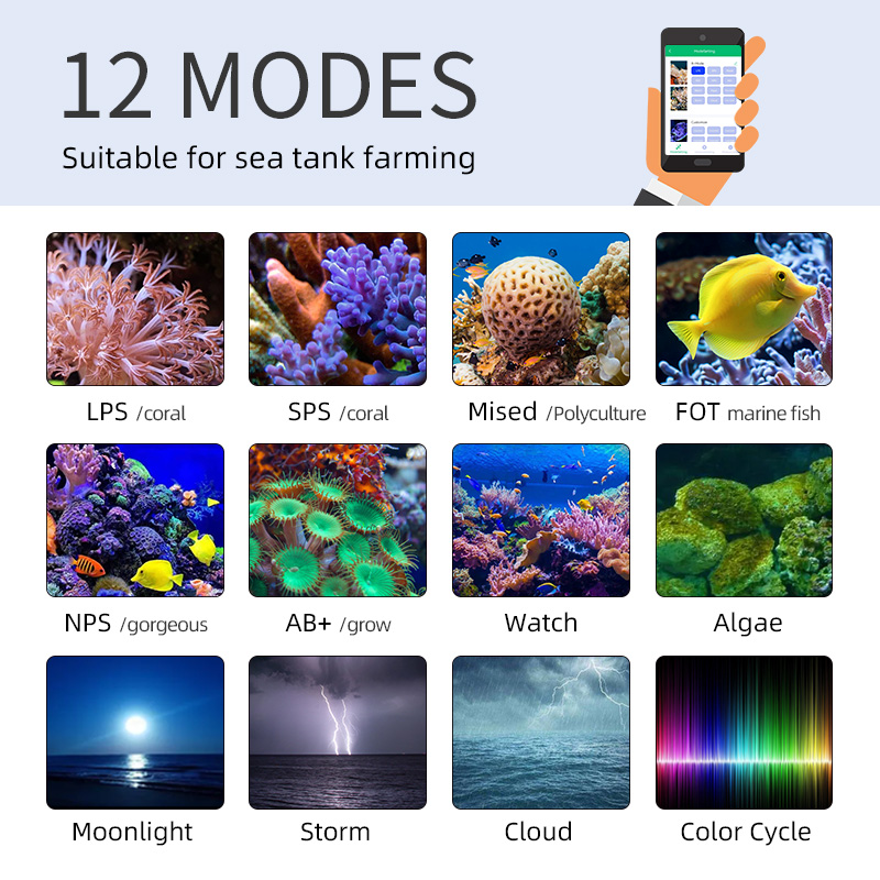 ZXY Hot Sale WEEKAQUA Z250 Z40 – Marine Aquarium App recenzja i cena