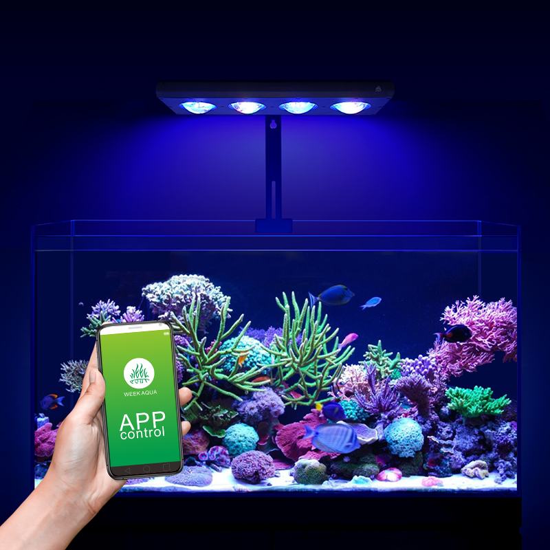 ZXY Hot Sale WEEKAQUA Z250 Z40 – Marine Aquarium App recenzja i cena