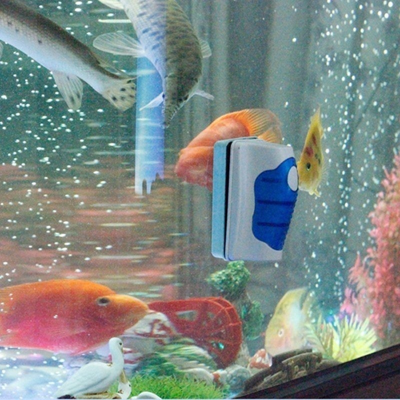 Fish Tank Glass Scraper Cleane – Marine Aquarium Glass Cleaner recenzja i cena