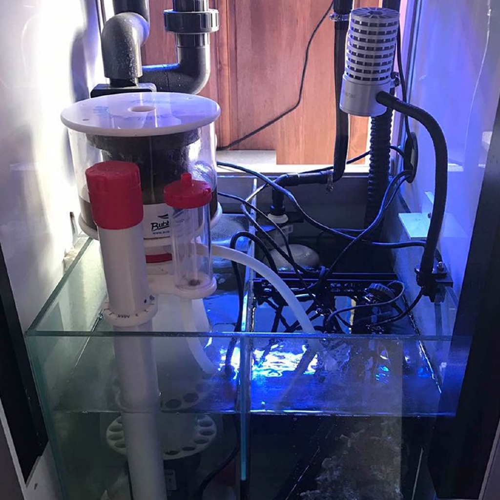 220V Bubble Magus Curve5 Aquar – Protein Skimmer Hang On recenzja i cena