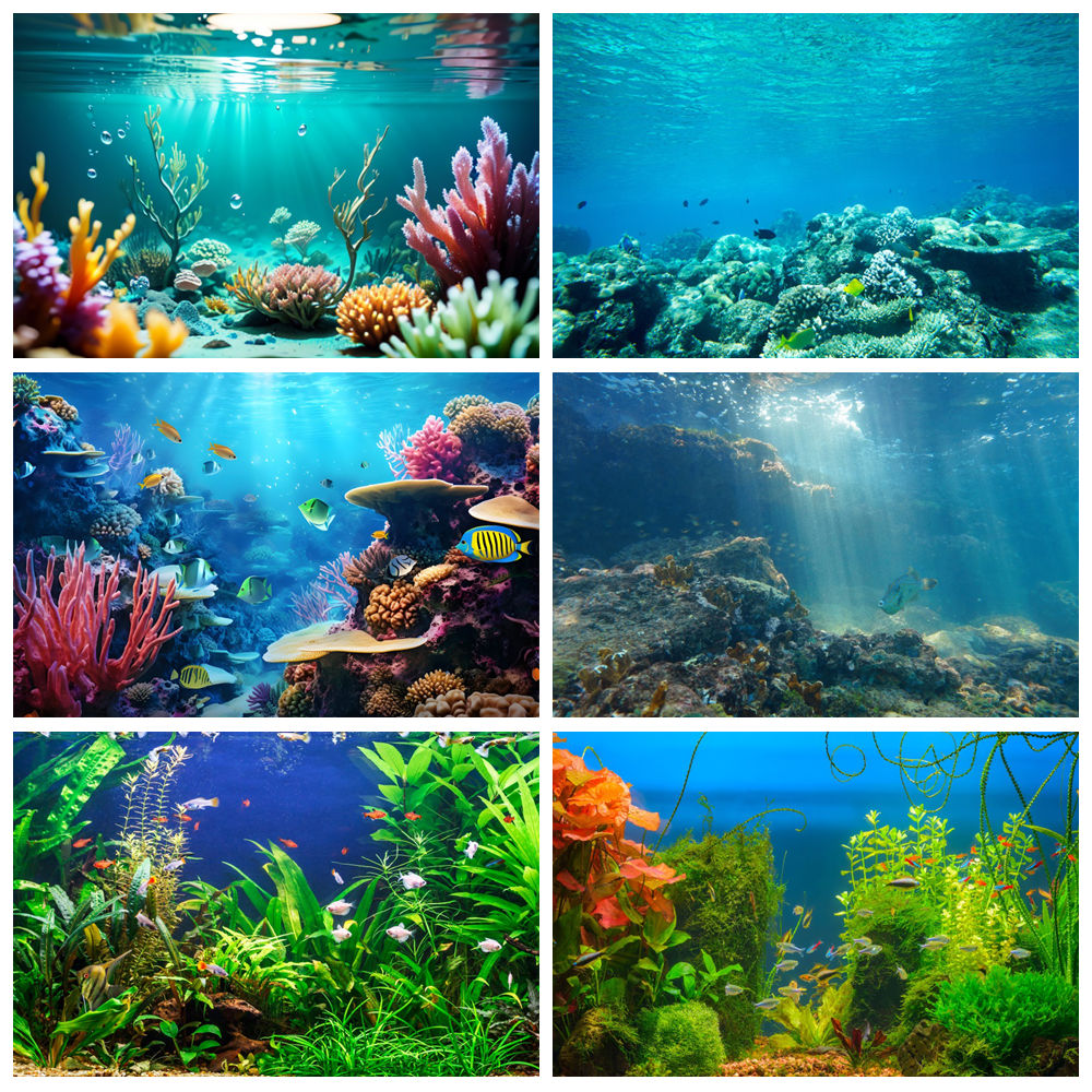 Underwater World Seabed Photog – Aquarium Marine World recenzja i cena