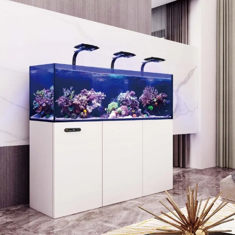 Custom Ultra Clear Glass Large – Aquarium Marine Salt recenzja i cena