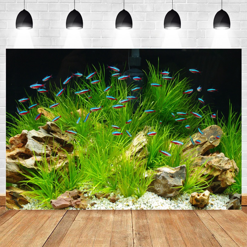 Under Sea Seabed World Photogr – Aquarium Marine World recenzja i cena